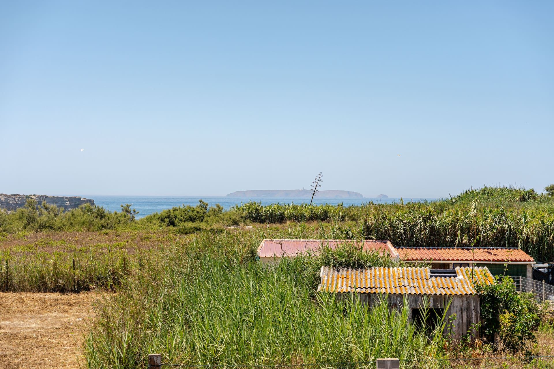 SurfPeniche Ocean View — countryside and ocean view in Peniche